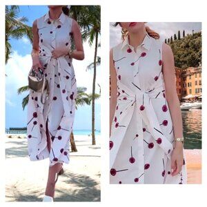 NWT ZARA ZW COLLECTION PRINTED POPLIN SHIRT DRESS Sz-S/M